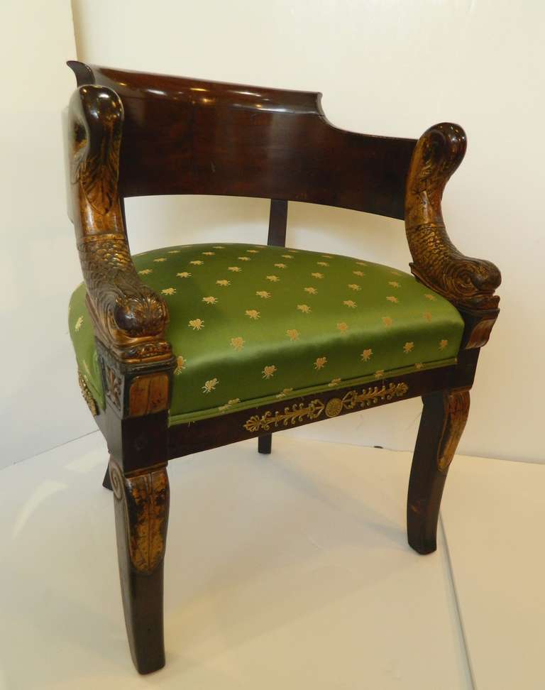 Early 1800 's Parisian mahogany dolphin tub chair with parcel gilding to dolphin arms and ormolu mounts. Great condition.