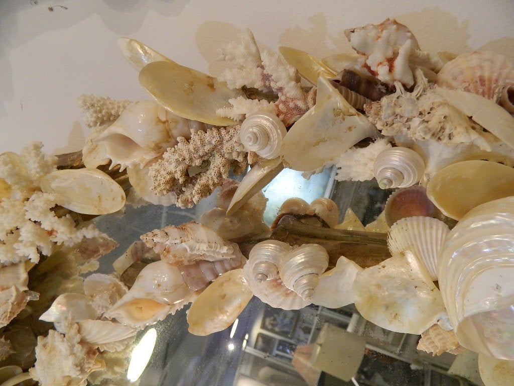 Shell and Coral  Mirror In Excellent Condition In Houston, TX