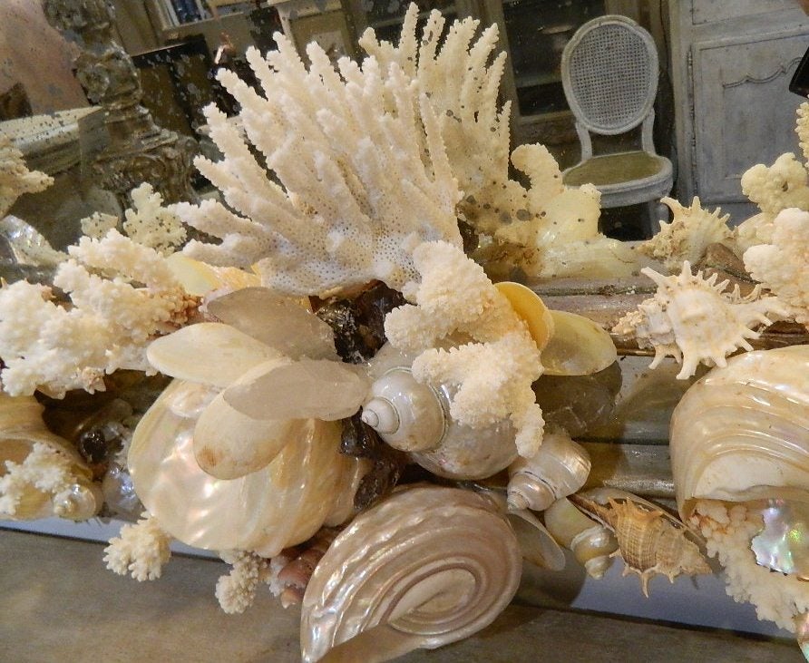 Shell and Coral  Mirror 1