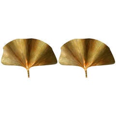 Pair of Tommaso Barbi Ginkgo Leaf Sconces