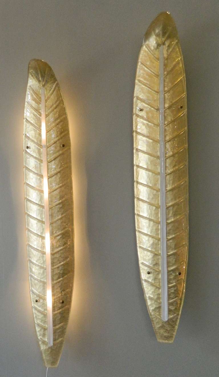 Modern Pair Barovier & Toso Large Gold Leaf Sconces
