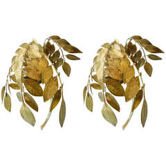 Pair of Tomasso Barbi Leaf Sconces