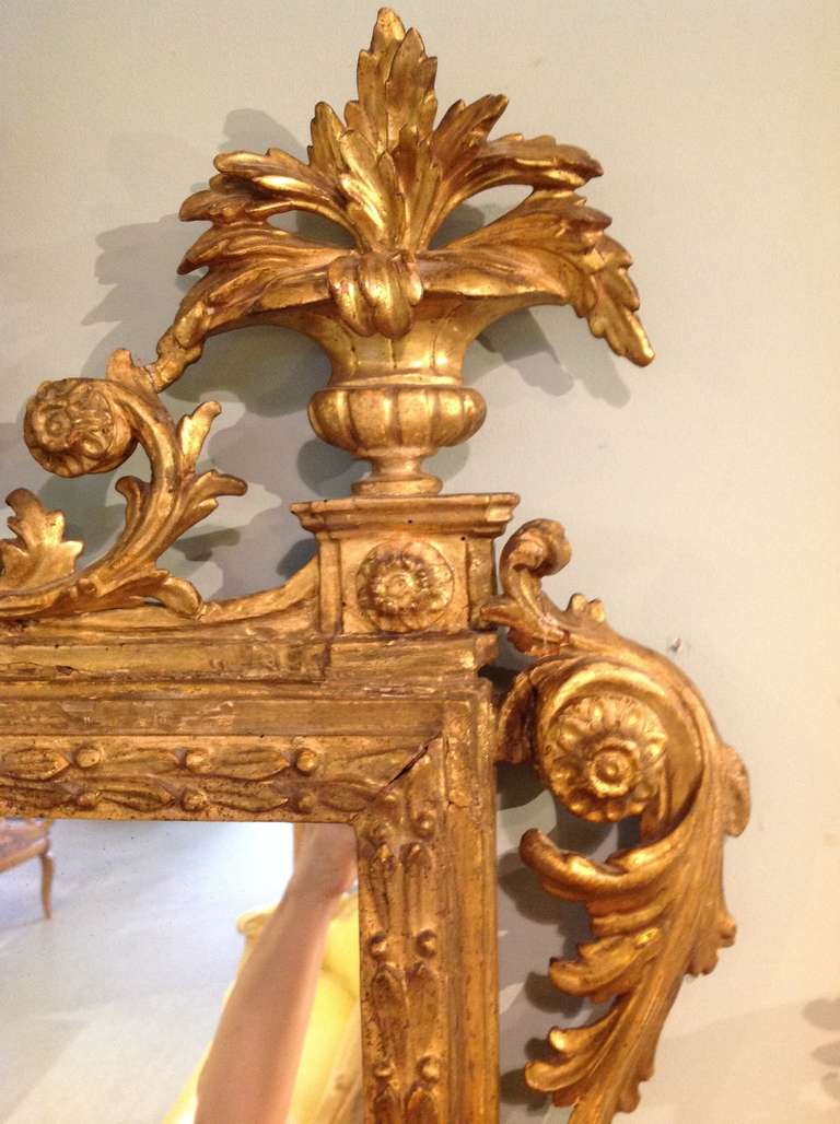 Antique Gilt Carved Mirror In Good Condition For Sale In Houston, TX