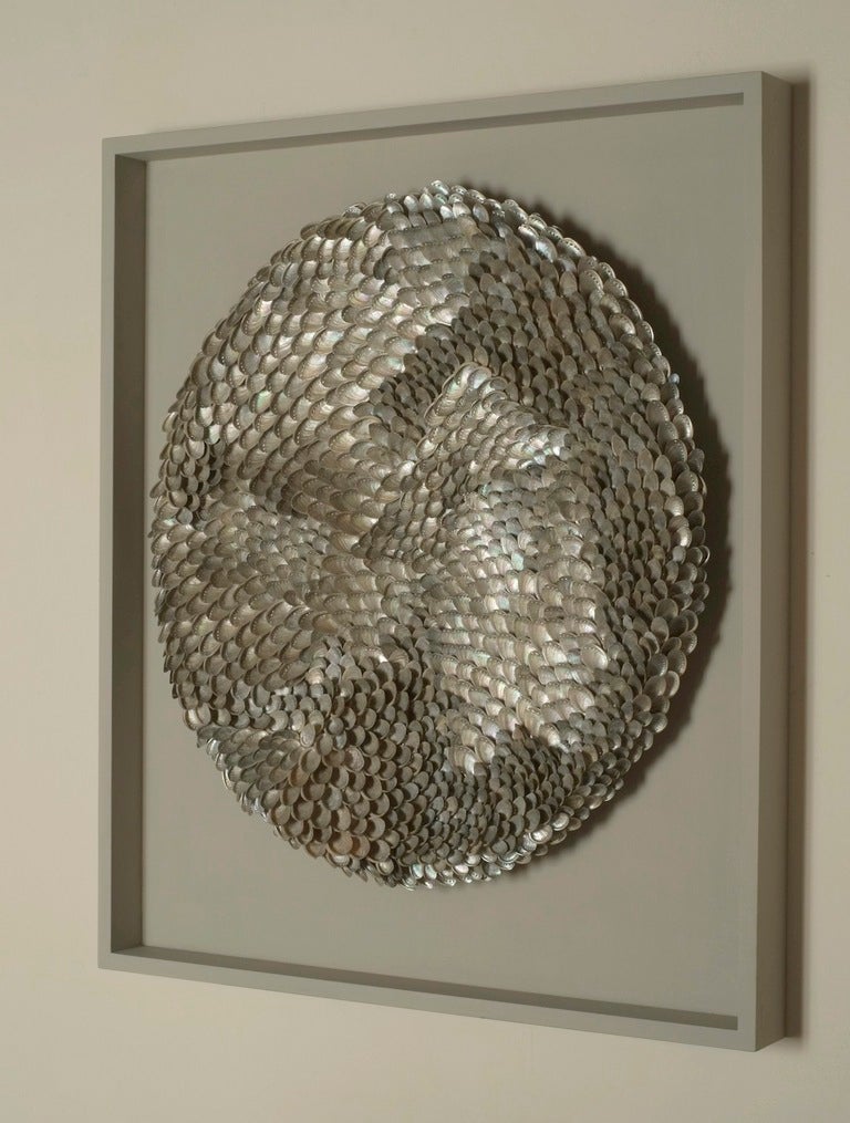 This listing features the larger of two size options. Both are created on a concave disc with the outer frames measuring:
78x68x10 (£3800)
112x96x10 (£4000)

This pieces plays on the iridescent and reflective surface of the shells, creating a