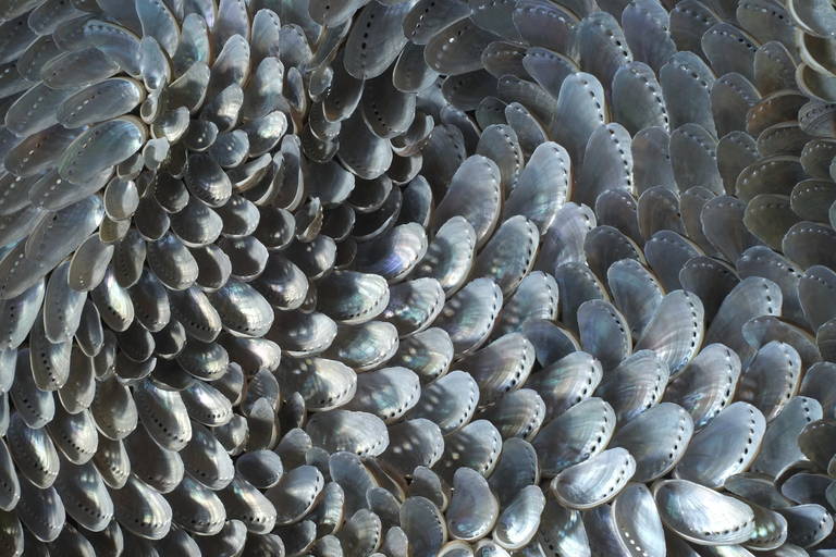 This shellwork is made entirely from bi-valve abalone shells. The natural iridescent surface of each shell reflects natural and artificial light, each creating a different mood. Its character therefore changes through the day: in daylight it is