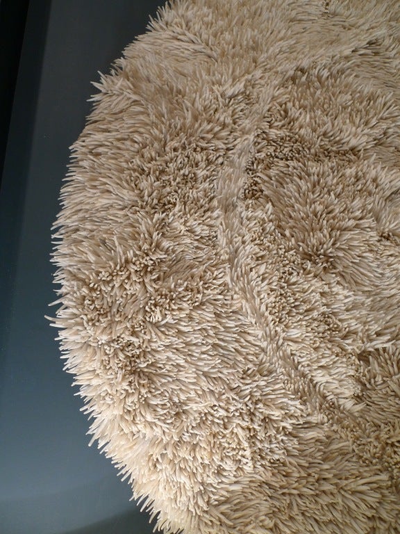 Pollen (Shell work set in box frame)