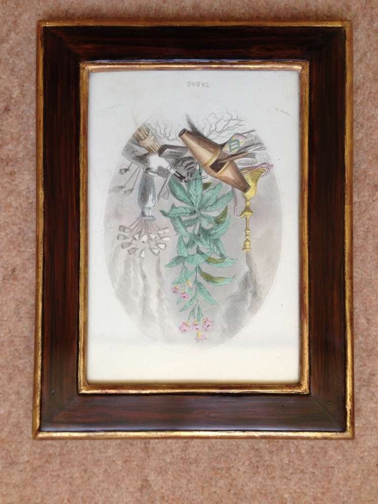 A Set of 19th Century Four Prints from Les Fleurs Animees