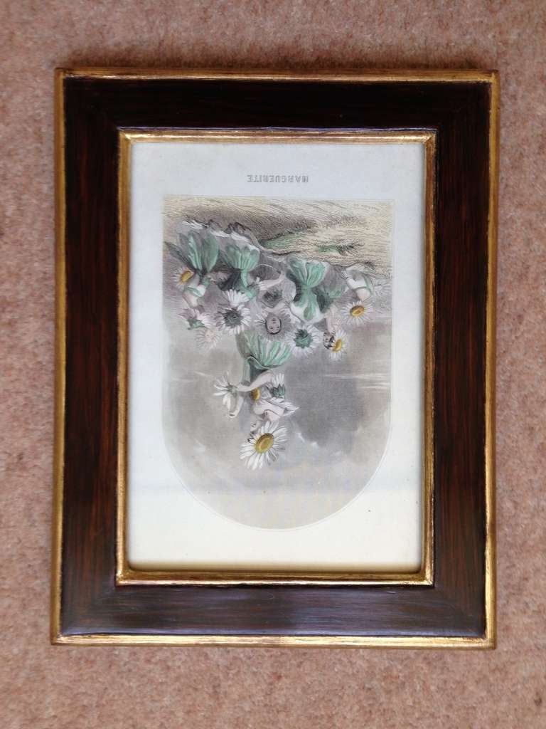 A Set of Four 19th Century Prints from Les Fleurs Animees