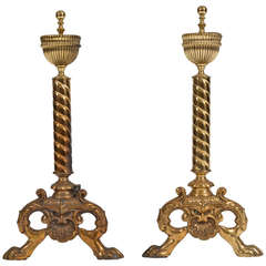 Pair of Elegant Neoclassical Brass Andirons