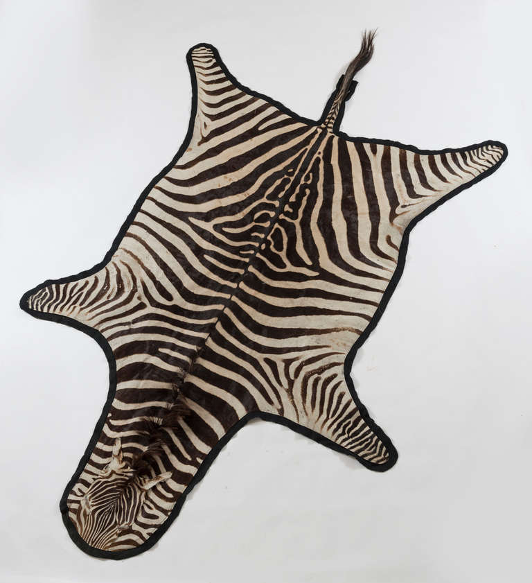 Vintage Zebra Hide on Felt Rug