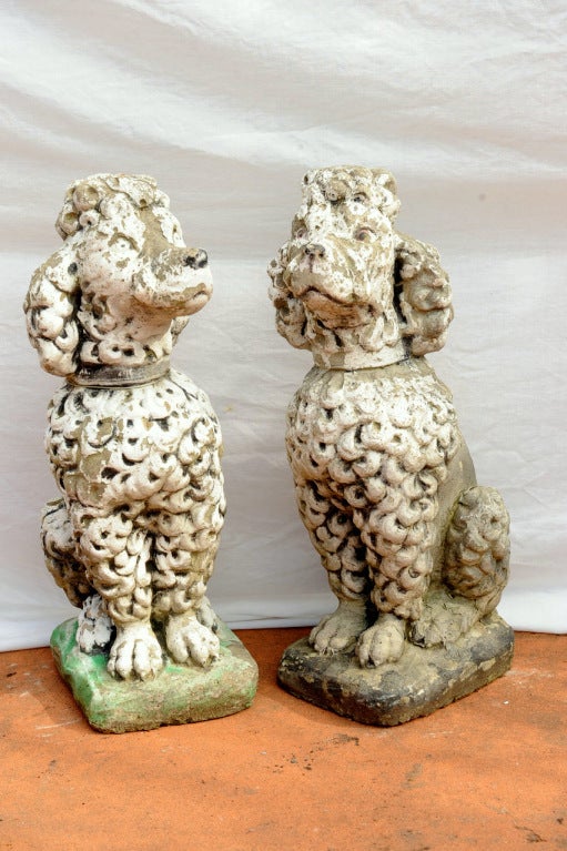 Pair of cast stone poodles, which were so popular in the mid-20th century, they were affectionately named 