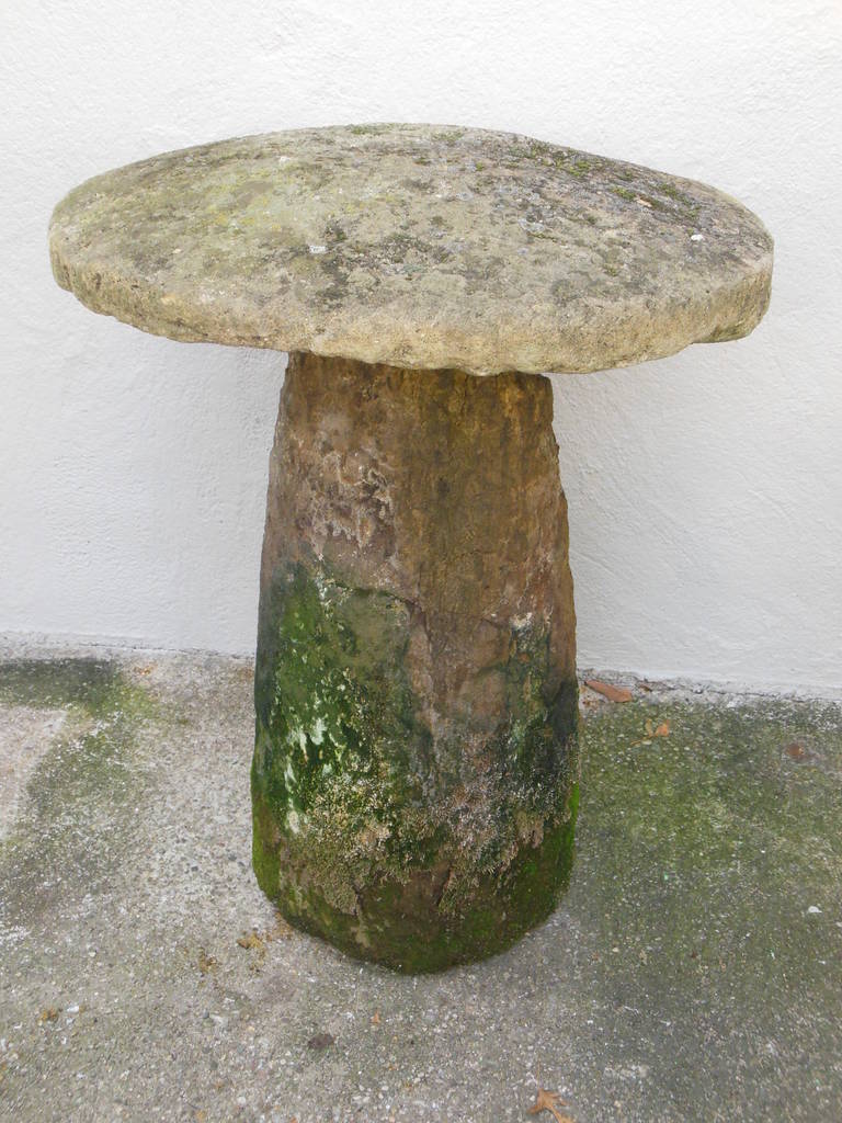 A Staddle stone of typical form with a mushroom like appearance. These were originally used as supporting bases  for granaries. The old ones have developed a good lichen 