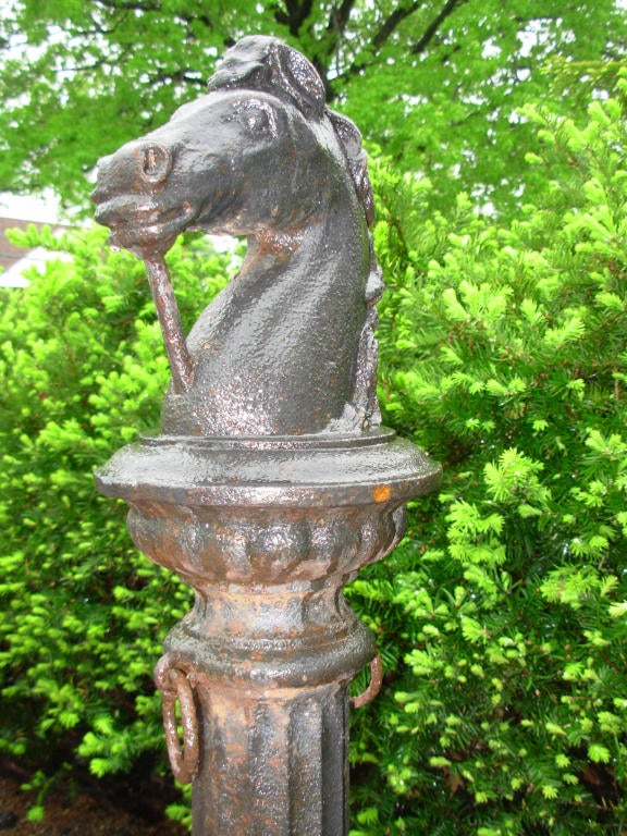 A cast iron horse head hitching post, with lion heads on the column