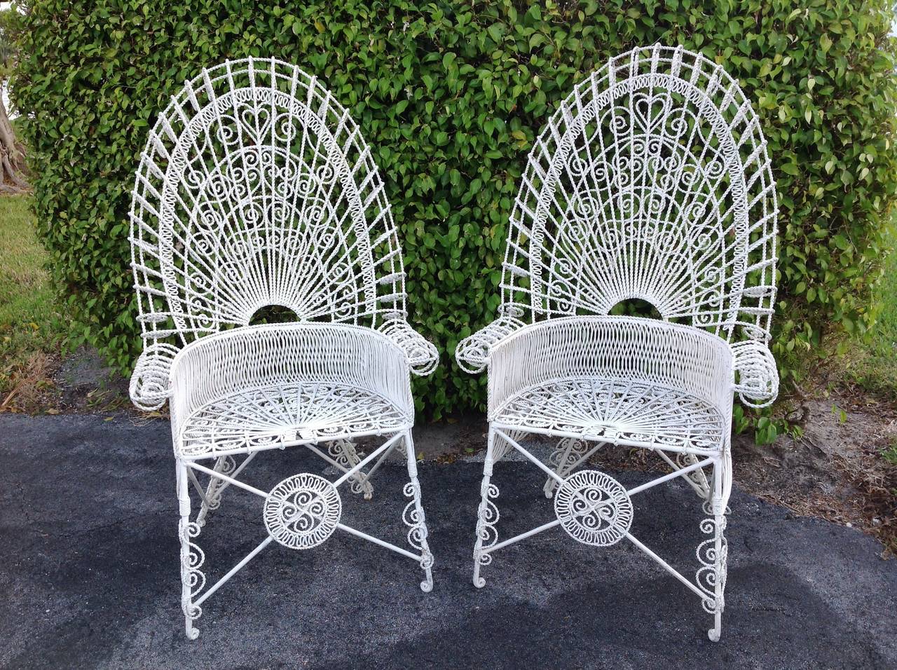 Pair of Iron Wirework High Arch Top Barrel Back Chairs
