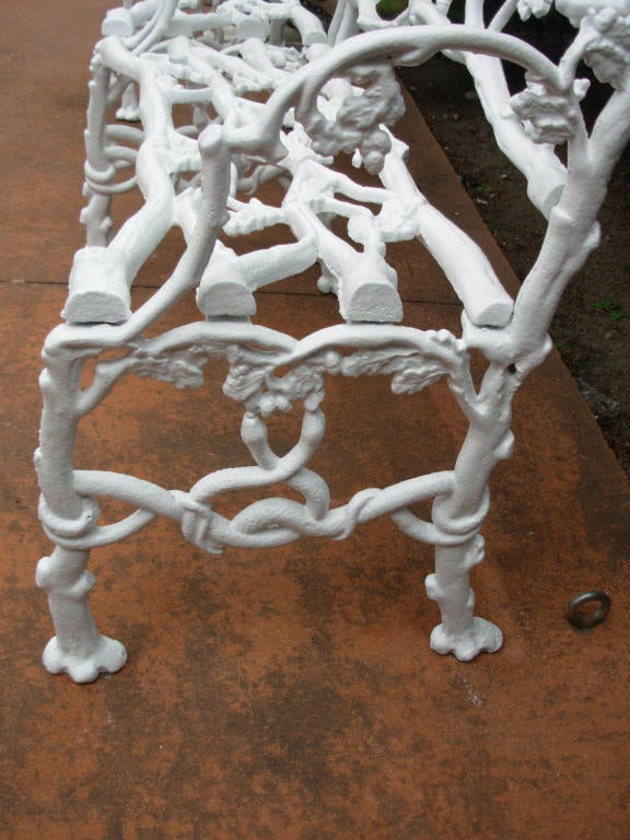 20th Century 19thC Pair of Cast Iron Rustic or Twig Garden Benches