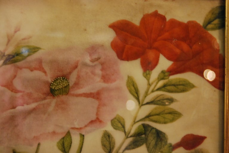 Stunning Pair Chinese Watercolor Paintings of Flowers on Pith 1