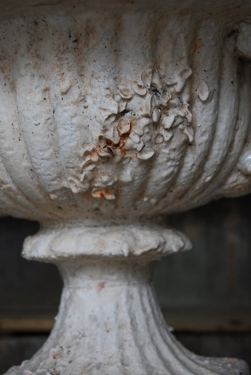 Pair of shell encrusted urns planters In Good Condition In Charleston, SC
