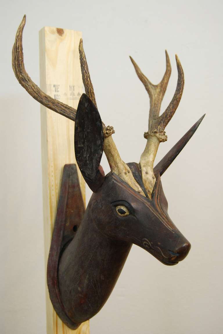 Belgian Carved Deer with Natural Antlers. Hand painted and great patina!
