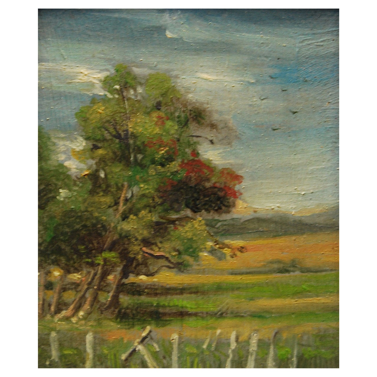 Oil on Board Landscape Ann Didusch Schuler For Sale