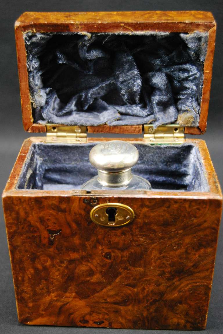 Antique Burl Wood Scent Bottle & Box, London 1907