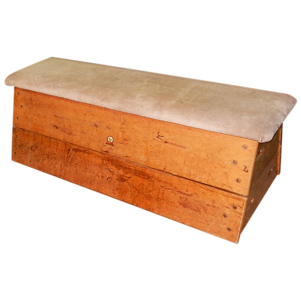 Gym Bench For Sale at 1stDibs