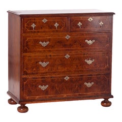 Oyster Chest of Drawers