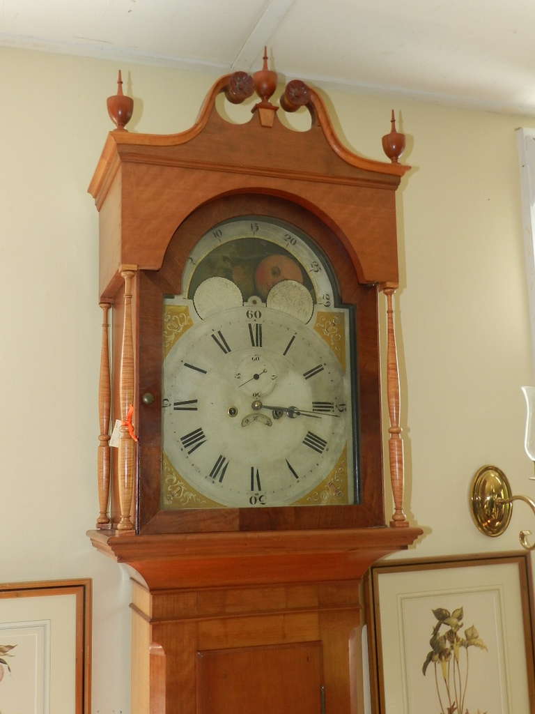 19th Century Maple Long Case Clock