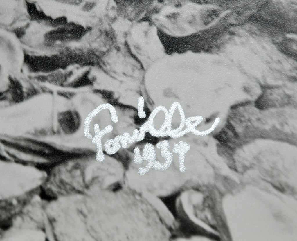 Photography by Theodore Fonville Winans (1911 -1992).
August 23 1934 Grand Isle, LA.
Print from original negative 1991.
Signed fonville 1934.