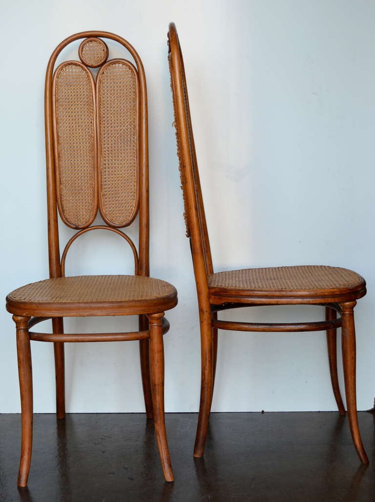 Austrian Jacob and Josef Kohn Bent Wood Tall Back Chairs