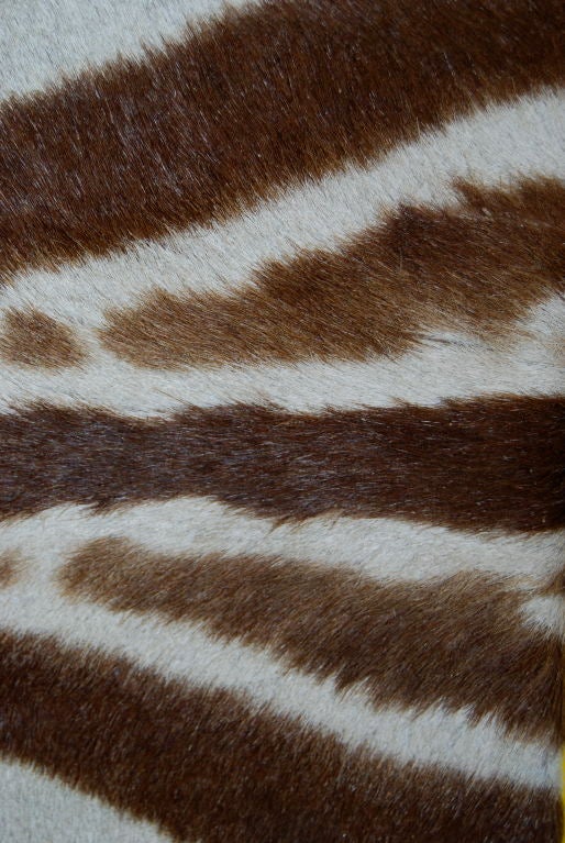 African Massive Zebra Hyde Covered Mirror For Sale