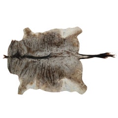 Wildebeest Hide Rug