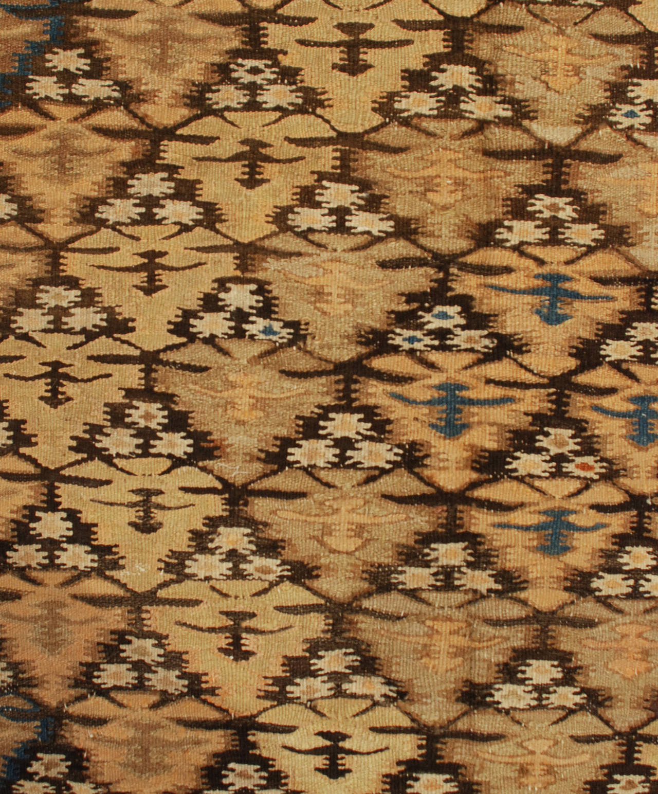 Vegetable Dyed Early 20th Century Qazvin Kilim Runner For Sale