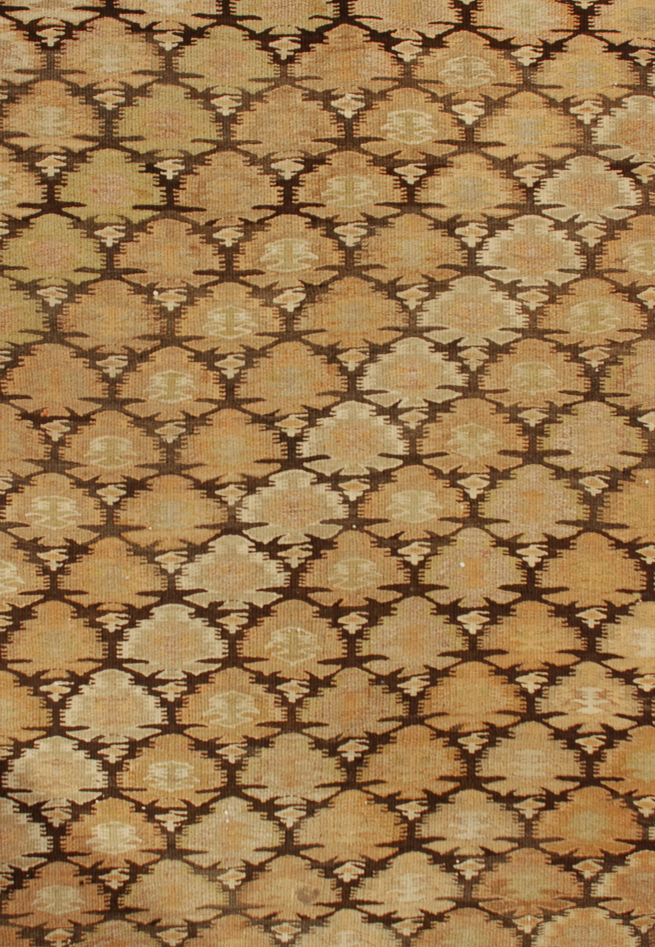 Tapis Kilim Persan Qazvin du début du 20ème siècle avec un motif floral sur toute la surface, entouré de multiples bordures florales complémentaires.
