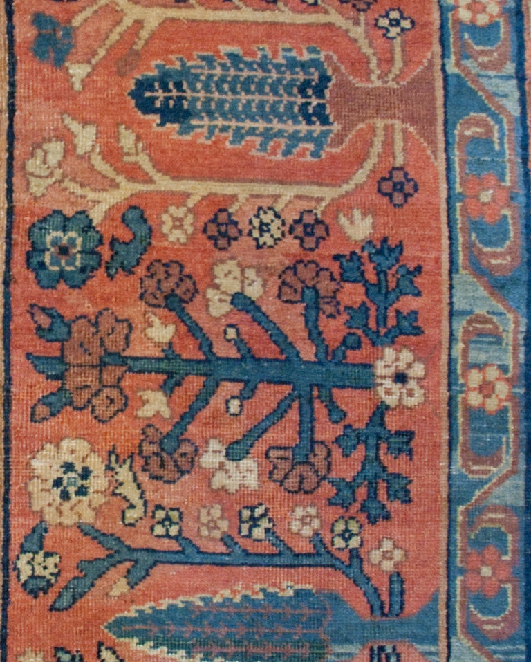 Late 19th Century Indian Agra Carpet For Sale 1
