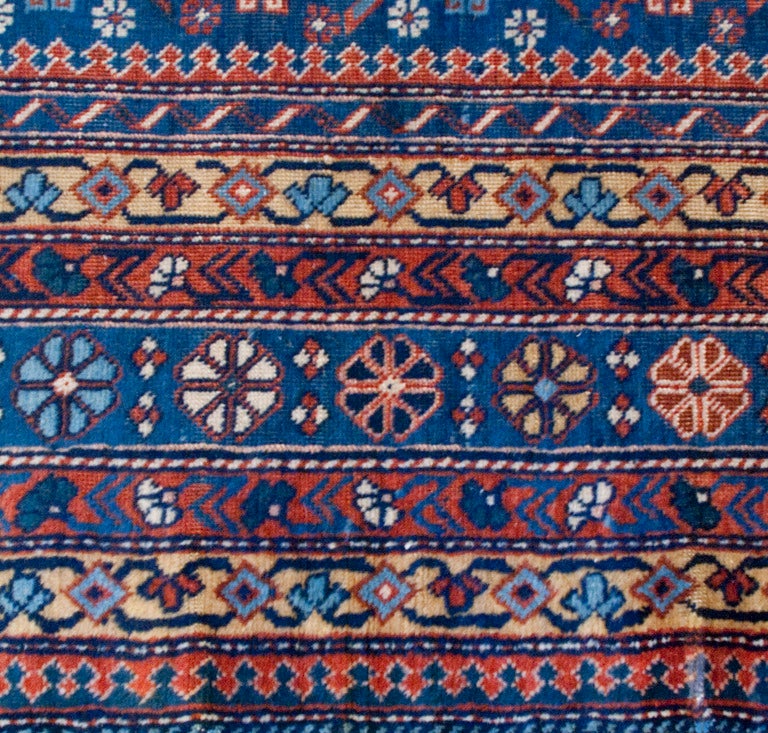 schirwan teppich