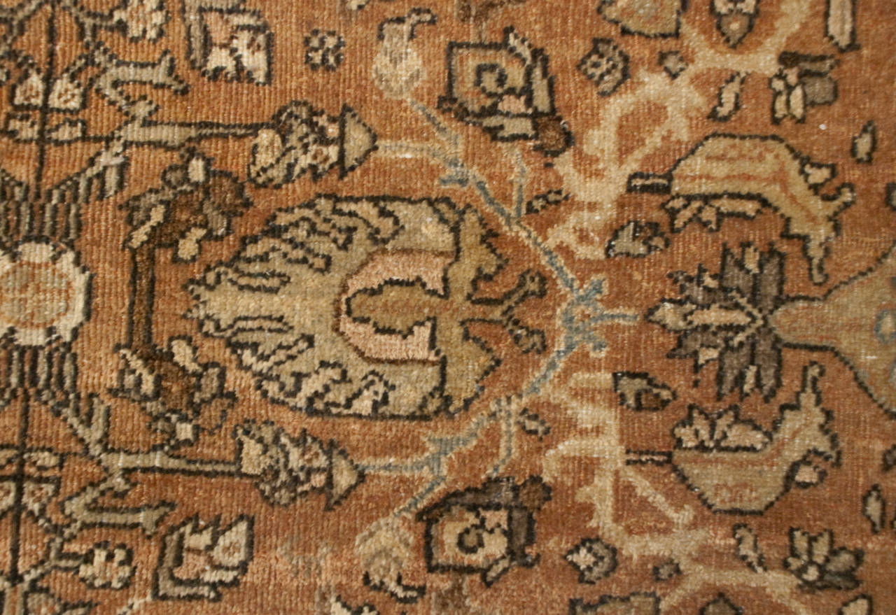 Un incredibile tappeto persiano Mahal Sultanabad Rugs dell'inizio del XX secolo con un intricato motivo floreale su uno sfondo naturale di lana marrone non tinta, circondato da molteplici bordi floreali a contrasto.