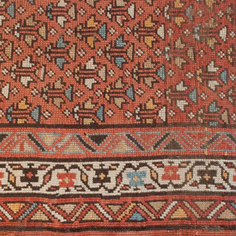 Vegetable Dyed 19th Century Persian Carpet For Sale