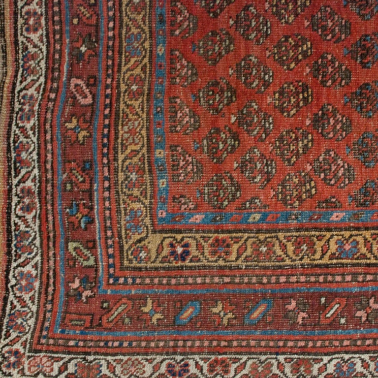 An early 20th century Persian Seraband carpet runner with all over floral pattern surrounded by multiple contrasting borders.

Reza's Rug Gallery #:  R5219


Keywords:  Carpet, runner, rug, Persian, tribal, Heriz, Tabriz