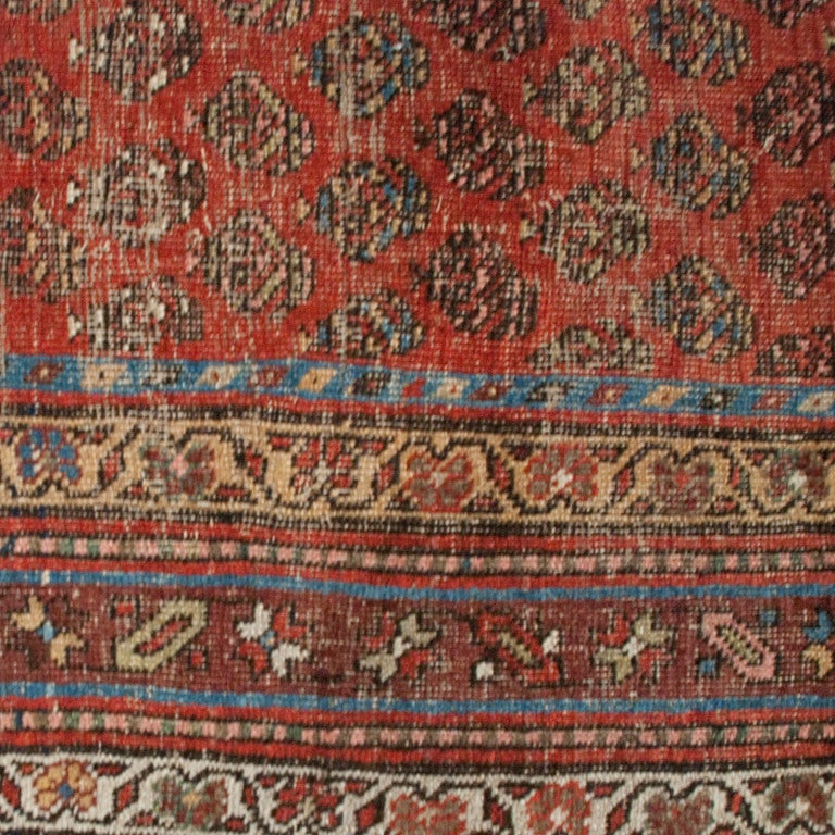 Persian Antique Seraband Carpet Runner, 3'9