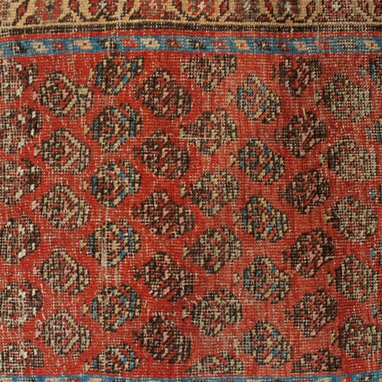 Vegetable Dyed Antique Seraband Carpet Runner, 3'9