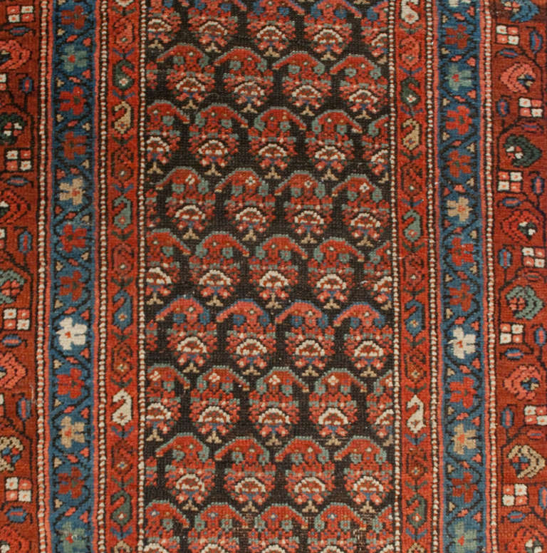 An early 20th century Persian Malayer runner with all-over paisley pattern surrounded by multiple elaborate wide complementary borders.