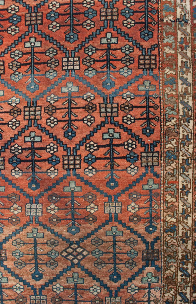An early 20th century Persian Malayer runner with all-over tree-of-life pattern on a variegated red and orange background surrounded by multiple complementary borders.