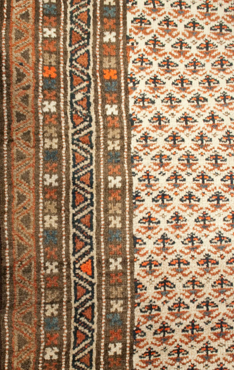 An early 20th century Persian Azeri runner with all-over repeated floral field surrounded by multiple contrasting geometric borders.
