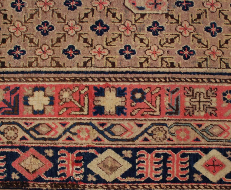 Chinese Antique Central Asian Khotan Rug For Sale