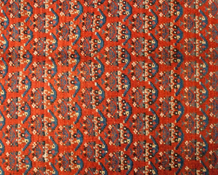 Wool 19th Century Afshar Rug For Sale