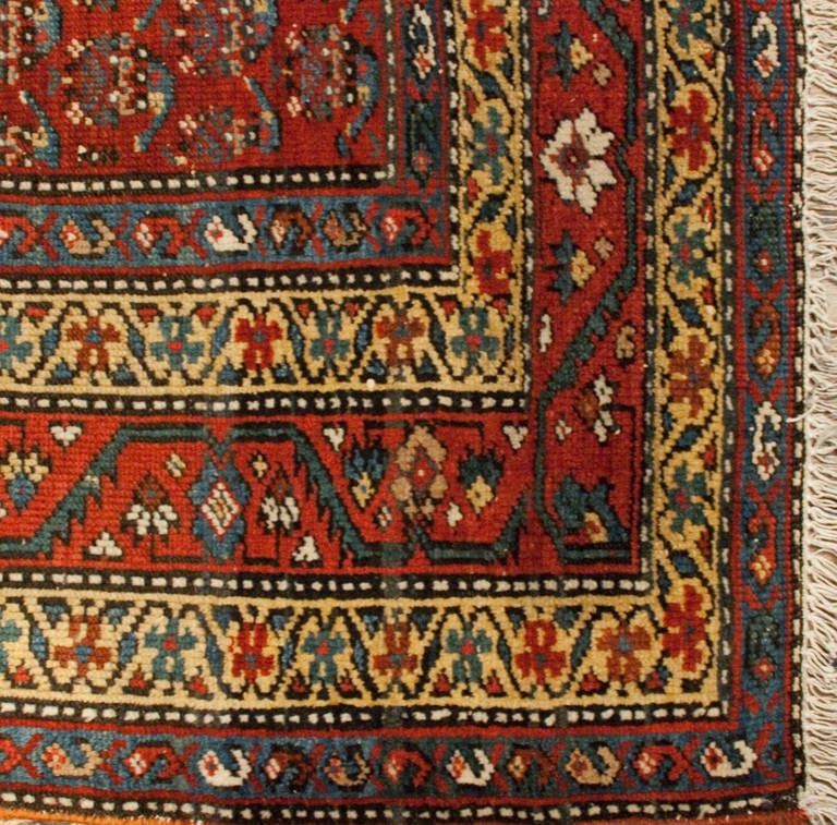 19th Century Afshar Rug For Sale 1