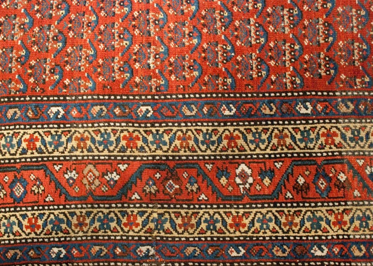 19th Century Afshar Rug In Excellent Condition For Sale In Chicago, IL