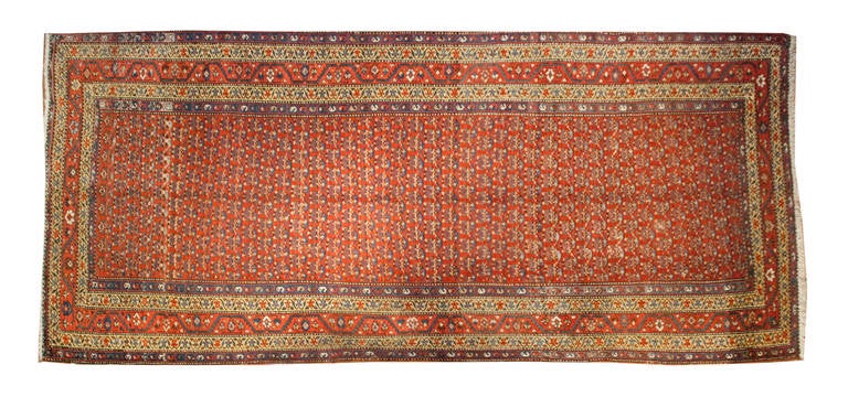 A 19th century Persian Afshar rug with amazing all-over paisley pattern on a crimson background surrounded by multiple contrasting floral borders.