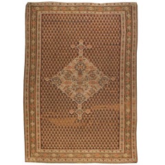 Alfombra Senneh Kilim del siglo XX