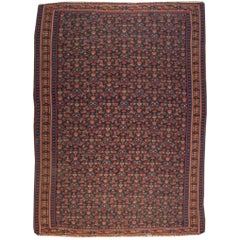 Antique Early 20th Century Senneh Rug